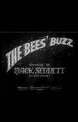 Bee’s Buzz